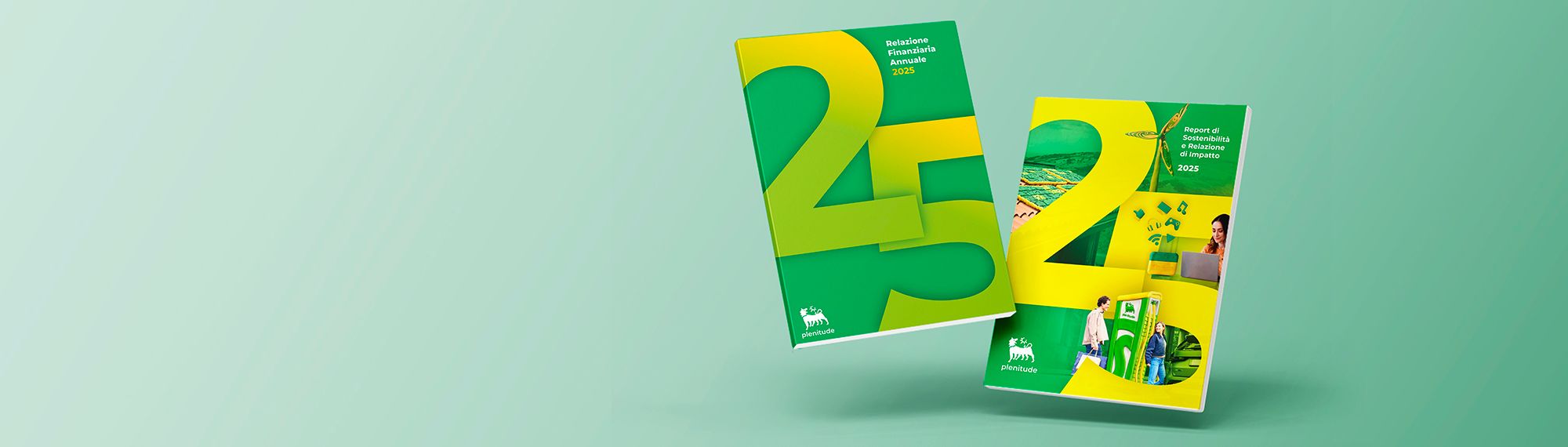 libro del report di sostenibilità e relazione di impatto