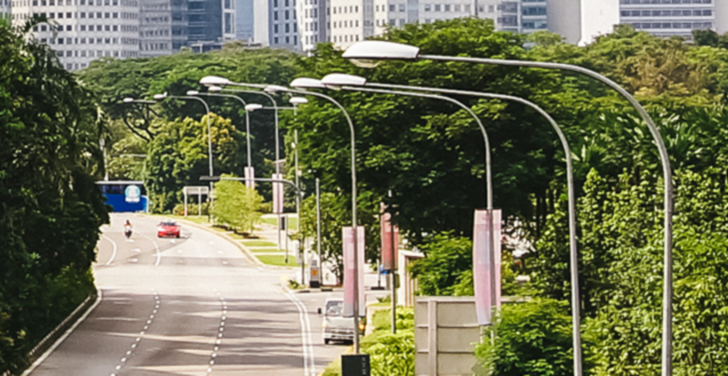cidade com muitas árvores