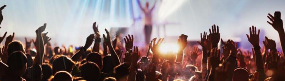 Personas en un concierto