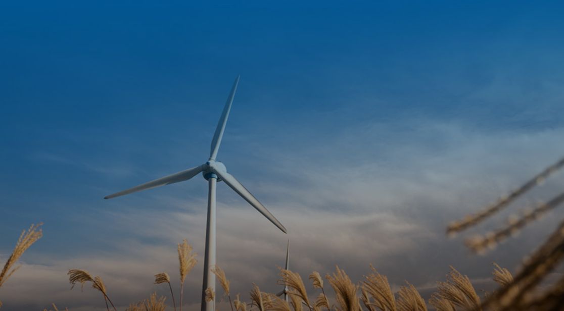 Wind turbine