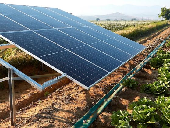 Agrovoltaico