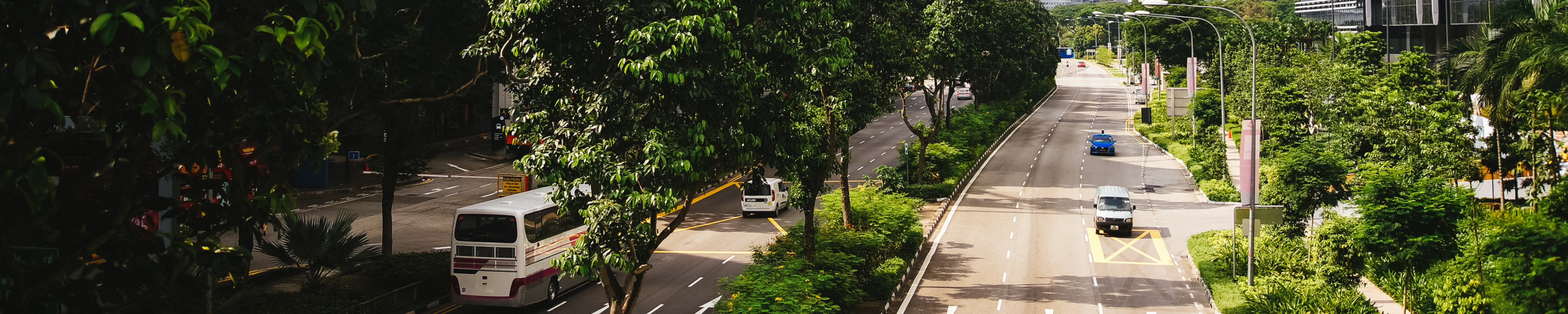 Candeeiros de rua entre zona verde e edifícios