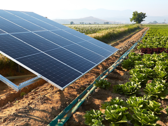 Agrovoltaic