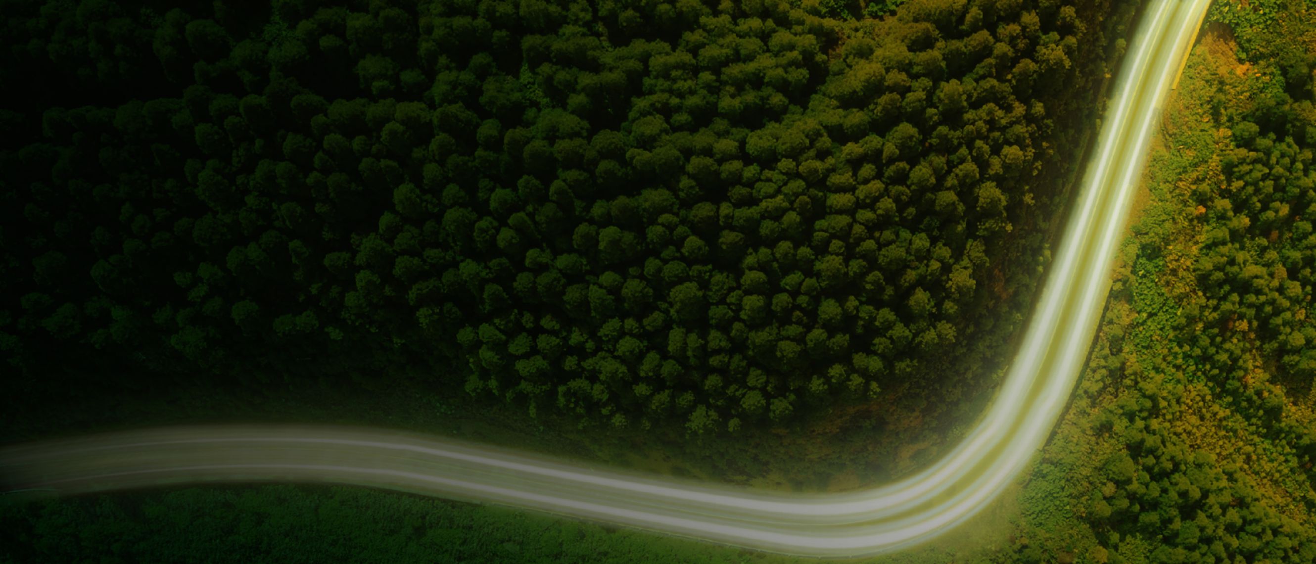 Tree-lined landscape with a road