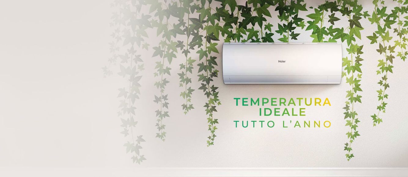 Un climatizzatore con intorno delle foglie 