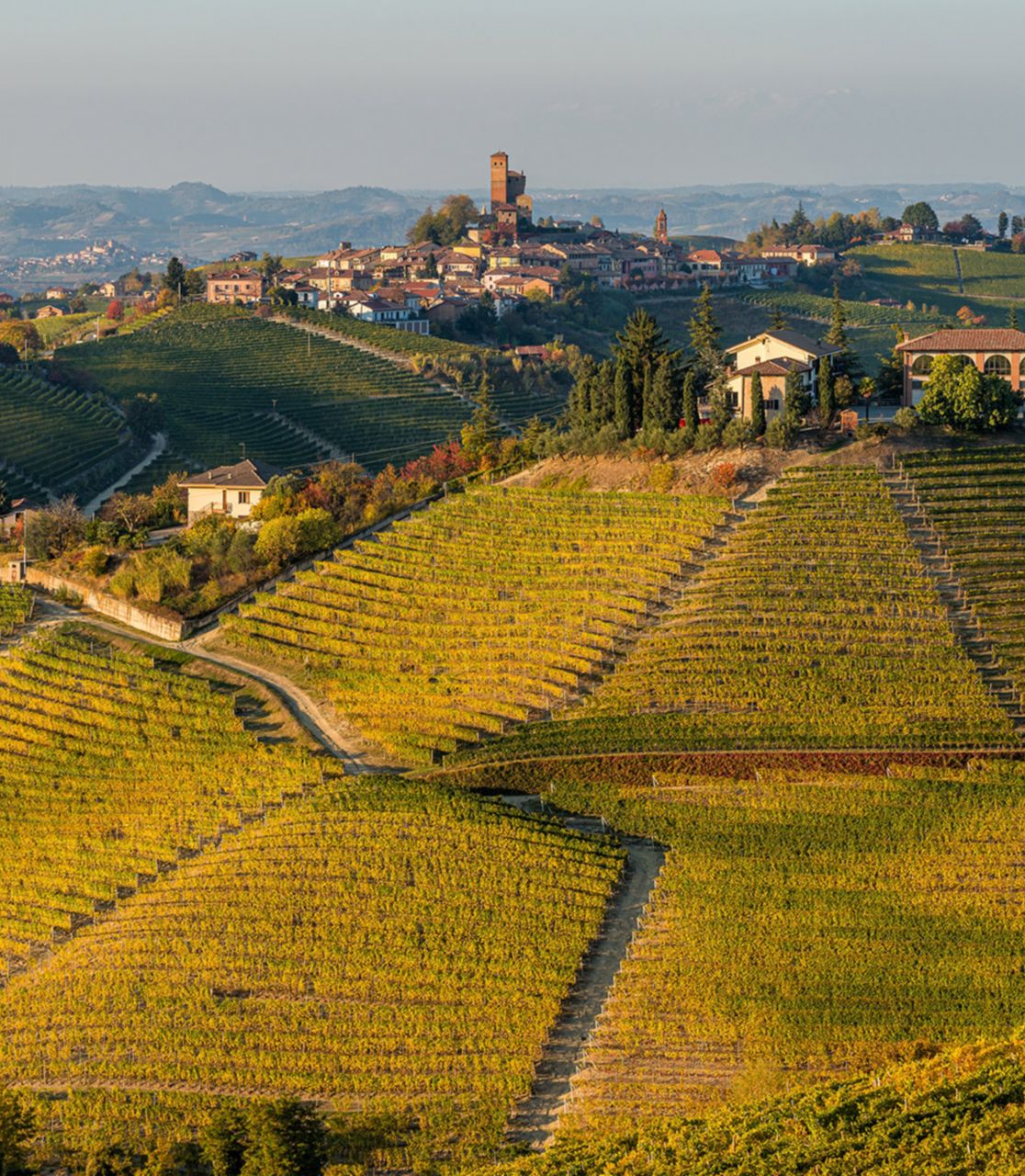 Beautiful hills and vineyards during fall season surrounding Serralunga d'Alba village