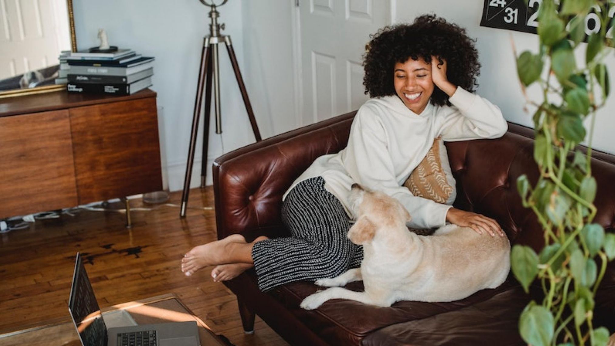 Plenitude, énergie géothermique, chauffer sa maison avec une pompe à chaleur