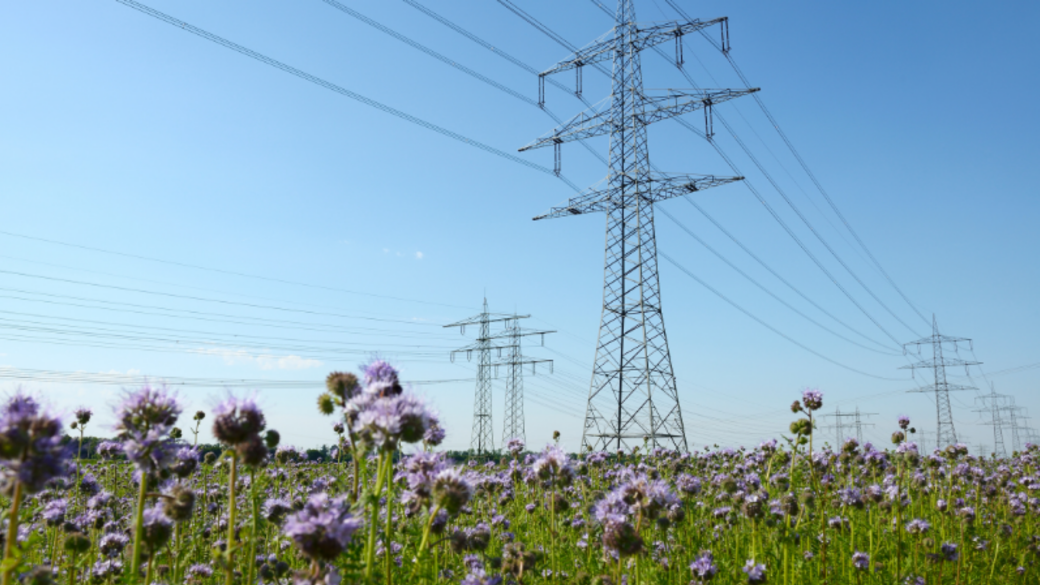 Plenitude, Énergie, Électricité, Le point sur le Marché de l’ Énergie, 4 questions à nos experts !