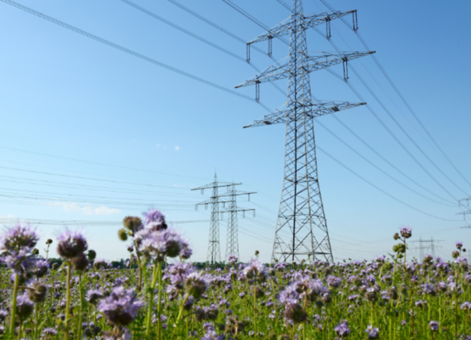 Plenitude, Énergie, Électricité, Le point sur le Marché de l’ Énergie, 4 questions à nos experts !