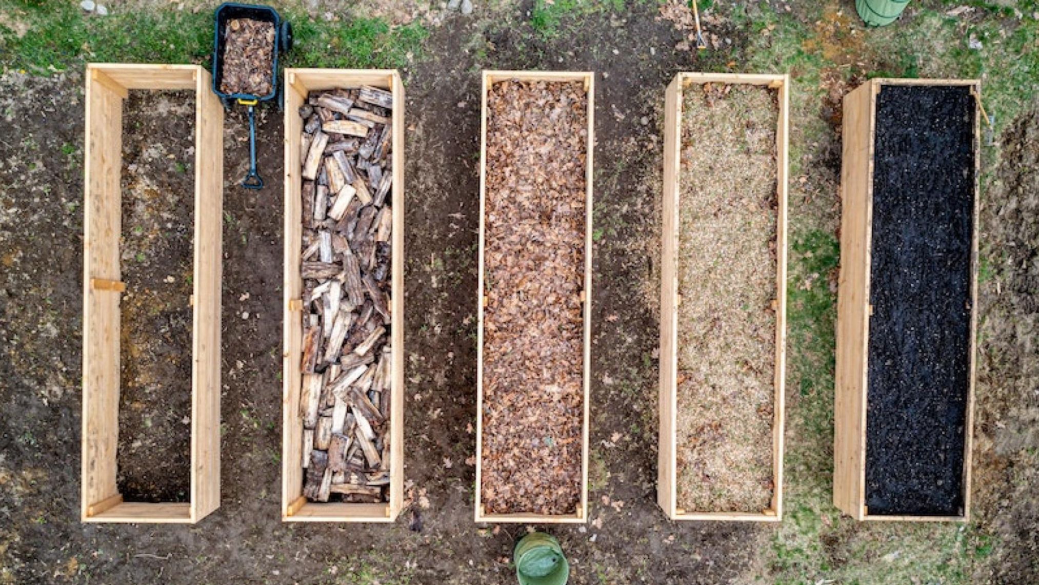 Quels Sont Les Impacts De L'Énergie Biomasse Sur L'Environnement - Plenitude, En Lumière Magazine de l'énergie et de l'écologie