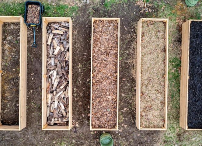 Quels Sont Les Impacts De L'Énergie Biomasse Sur L'Environnement - Plenitude, En Lumière Magazine de l'énergie et de l'écologie