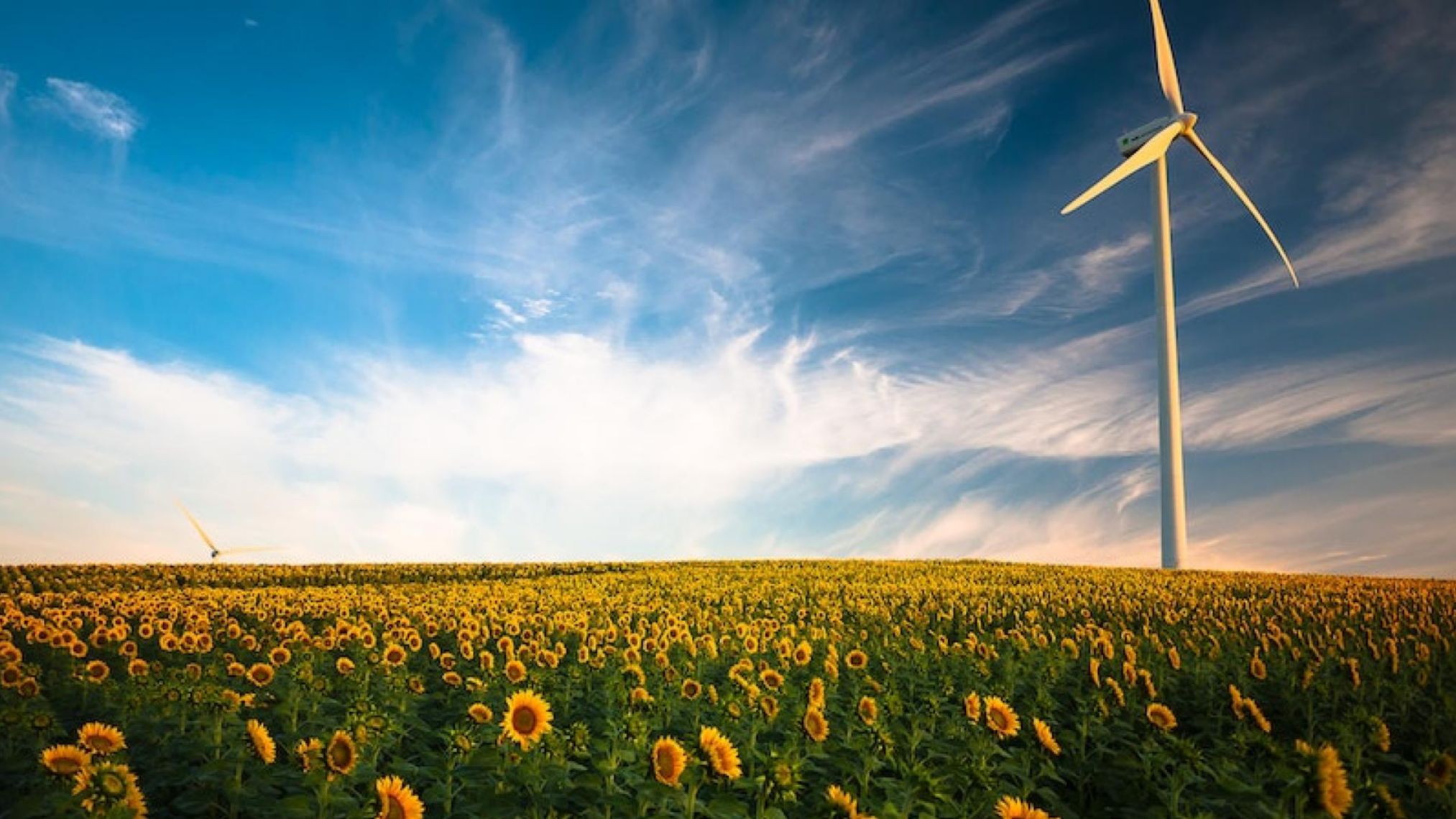 Plenitude, Énergie, Écologie, Impact de l'Énergie Éolienne sur l'Environnement