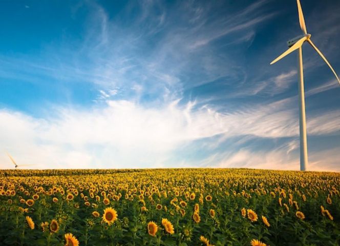 Plenitude, Énergie, Écologie, Impact de l'Énergie Éolienne sur l'Environnement