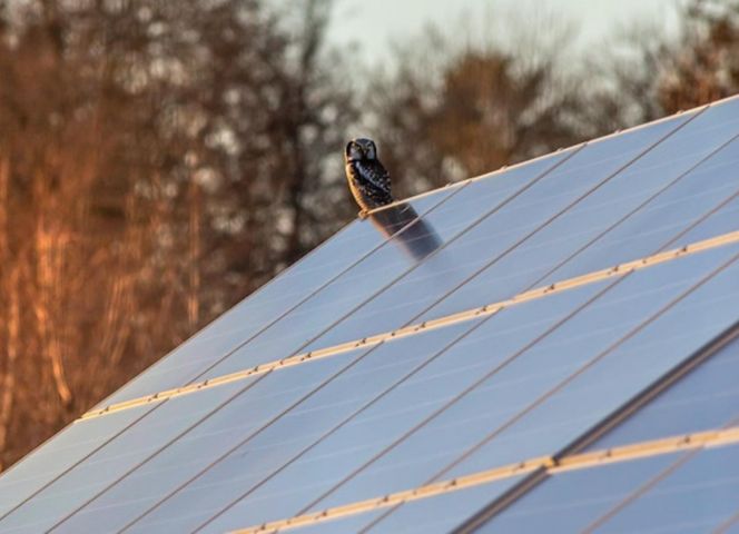 Plenitude, Énergie Solaire Avantages Et Inconvénients