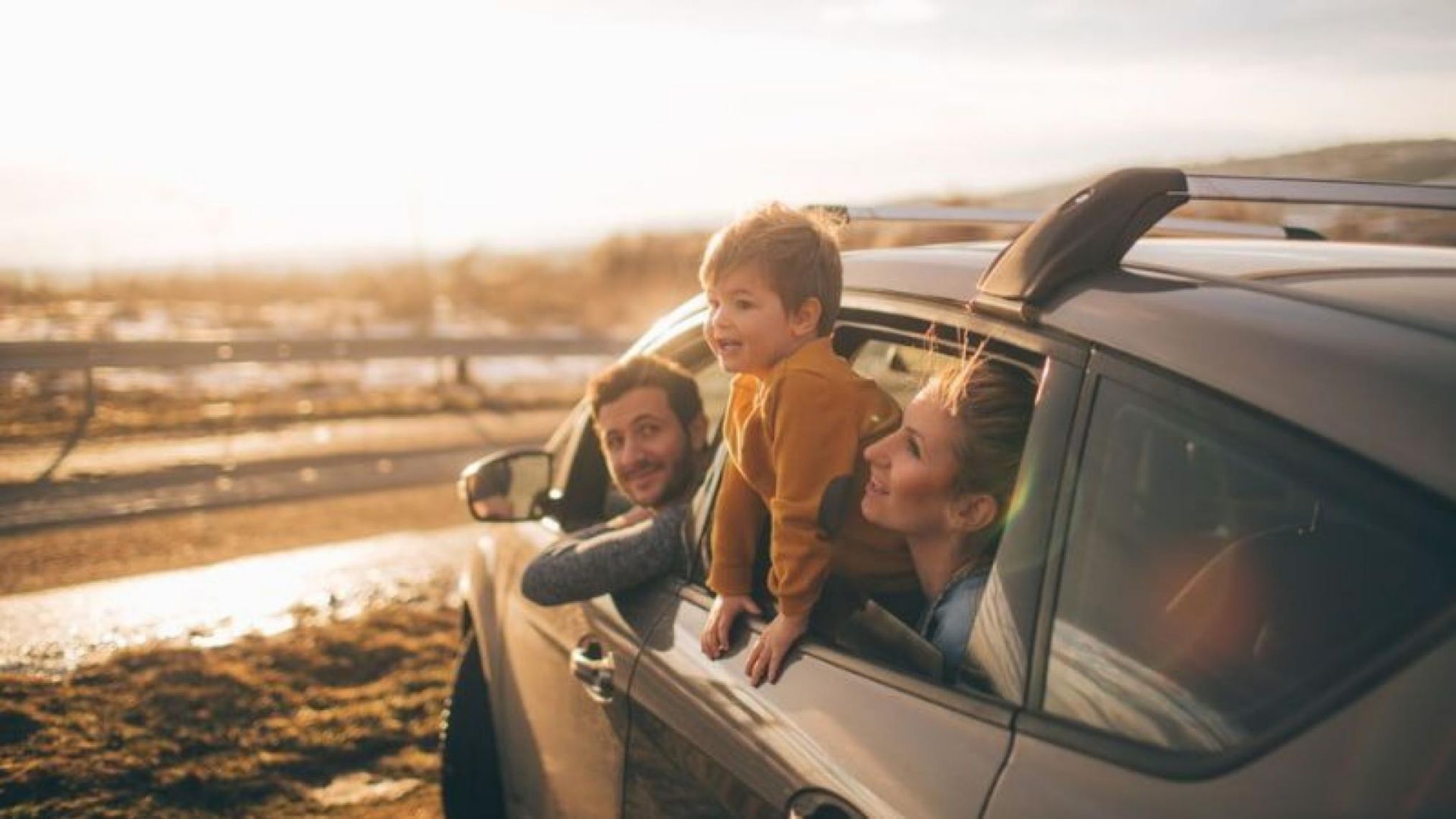 Plenitude, Énergie, Électricité, Offres d'Électricité Verte, Tarifs