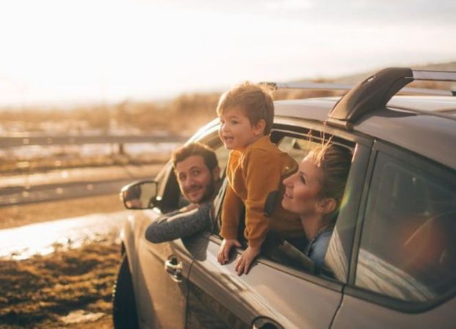 Plenitude, Énergie, Électricité, Offres d'Électricité Verte, Tarifs