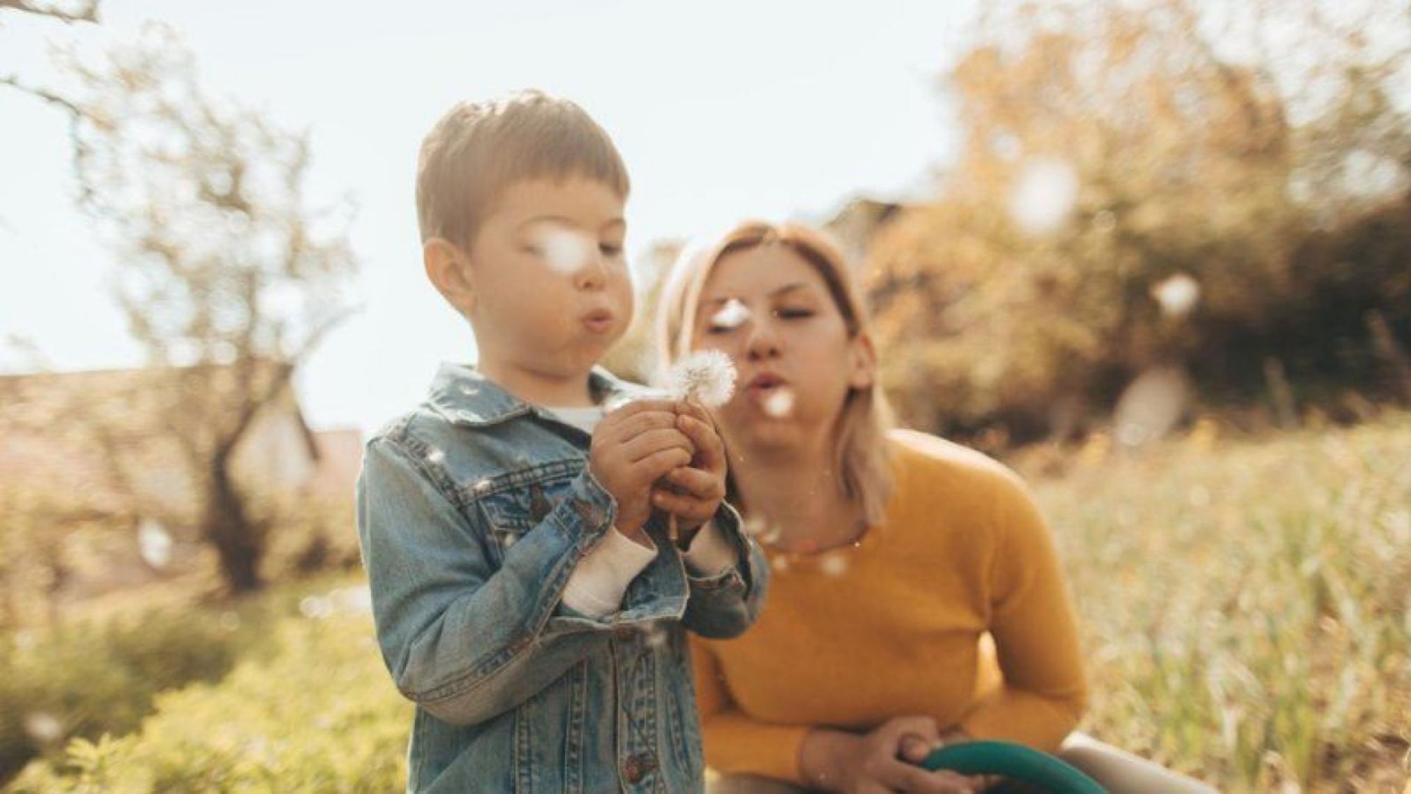 Plenitude, Énergie, Tarif Réglementé De L'Électricité