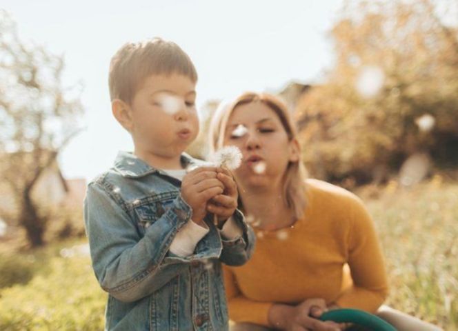 Plenitude, Énergie, Tarif Réglementé De L'Électricité