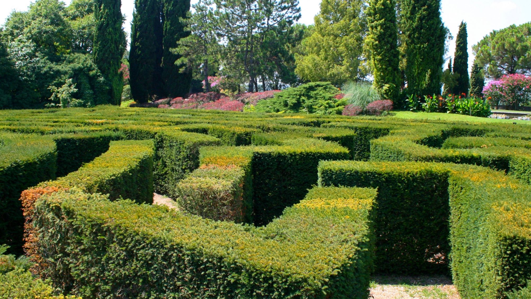 Flowers of the garden ( Parco Giardino Sigurtà); Shutterstock ID 1095521270; purchase_order: -; job: -; client: -; other: -