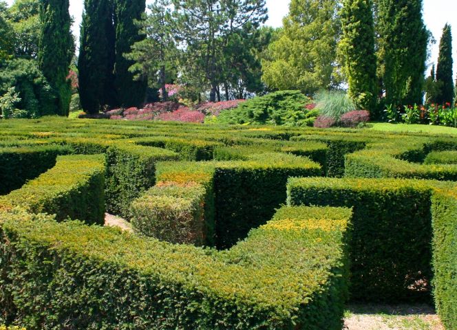 Flowers of the garden ( Parco Giardino Sigurtà); Shutterstock ID 1095521270; purchase_order: -; job: -; client: -; other: -