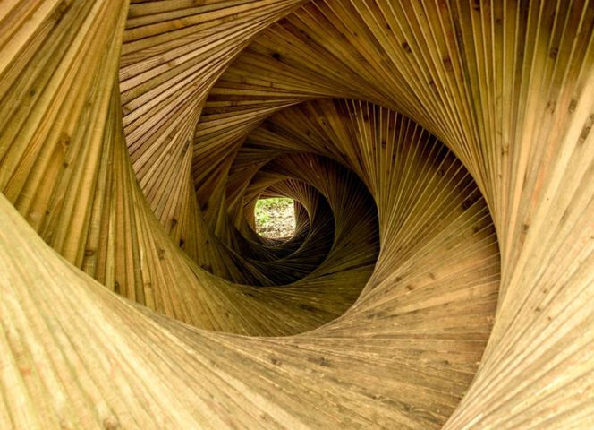 Wooden spiral structure with natural light