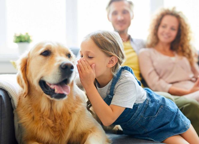 Plenitude, écologie, bien-être animal, échevin en Belgique
