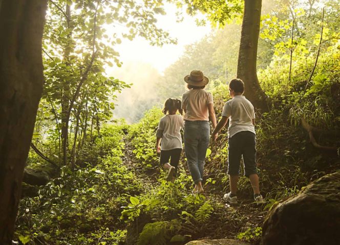 Plenitude, énergie, écologie, biophilie, bienfaits de la nature