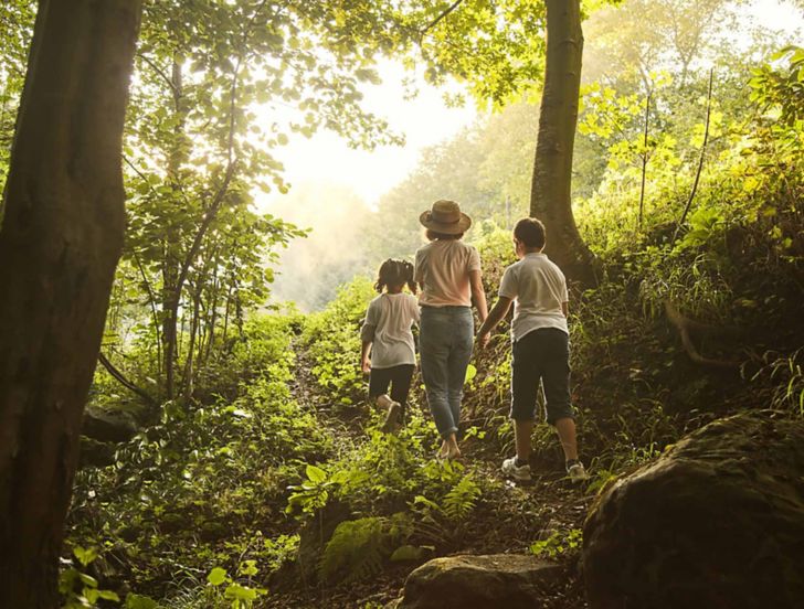 Plenitude, énergie, écologie, biophilie, bienfaits de la nature