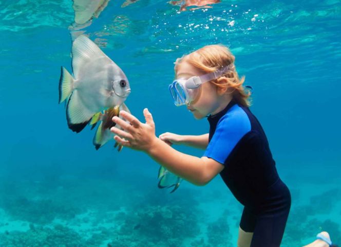Plenitude, ocean census project, ten year census of ocean life, découverte 100 000 espèces marines